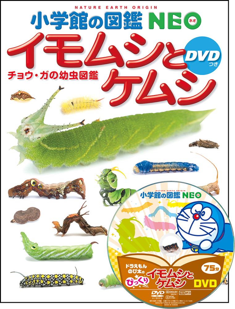 図鑑 小学館の図鑑NEO イモムシとケムシ DVDつき」｜図鑑・辞典｜こども